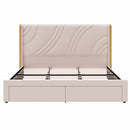 Modern Upholstered LED Bed Frame With Storage Drawers, Wingback Headboard, RGB Light