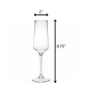 Tritan Lexington - Unbreakable Plastic Champagne Flutes, 10Oz (Set of 4) - Clear