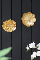 Rose Hanging Resin Wall Accents (Set of 2) - Gold
