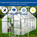 Polycarbonate Greenhouse Raised Base And Anchor Aluminum Heavy Duty Walk-In Greenhouses For Outdoor Backyard In All Season