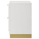 Modern Luxury Nightstand With 2 Drawer Storage