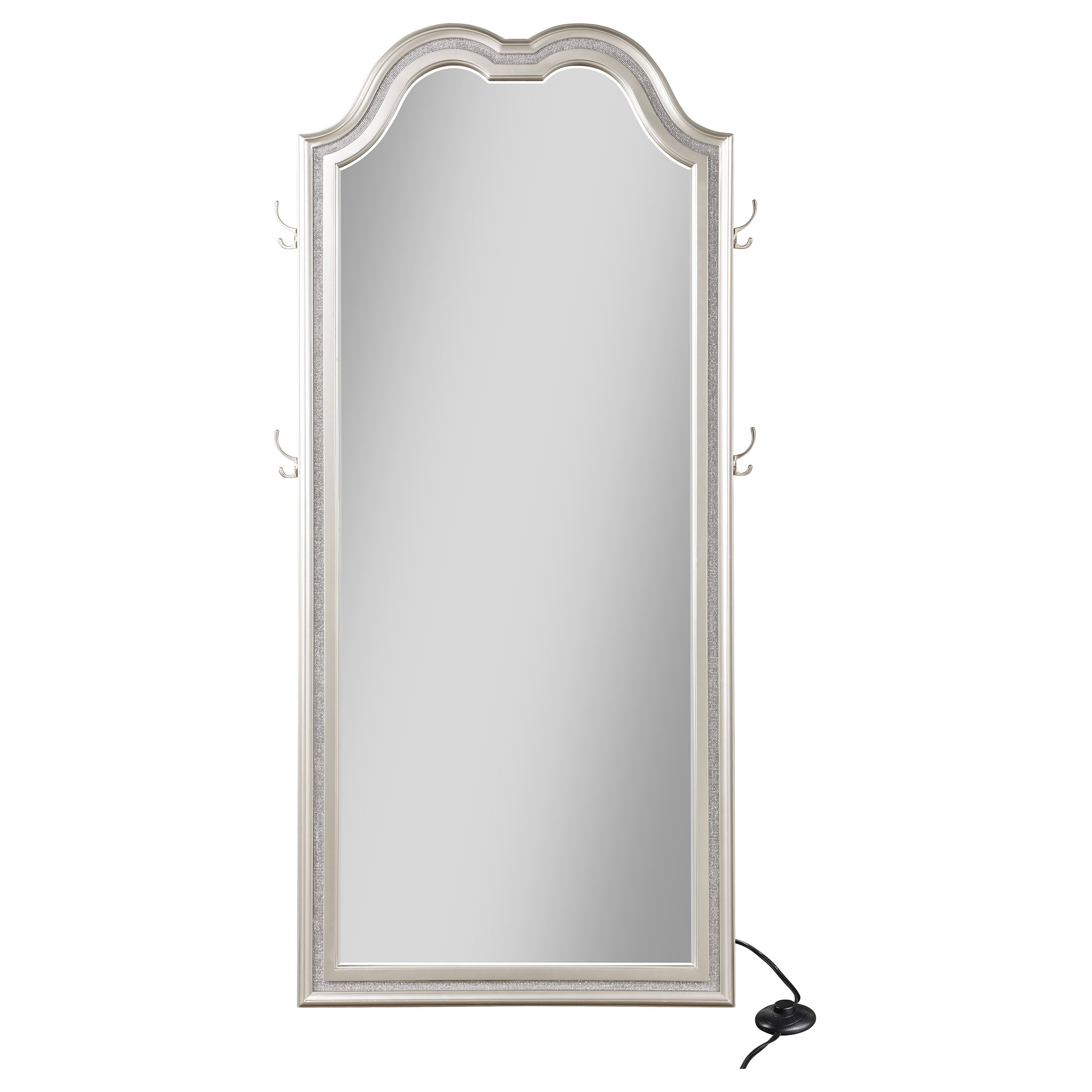 Evangeline Full Length LED Light Floor Mirror Silver Oak — view 4