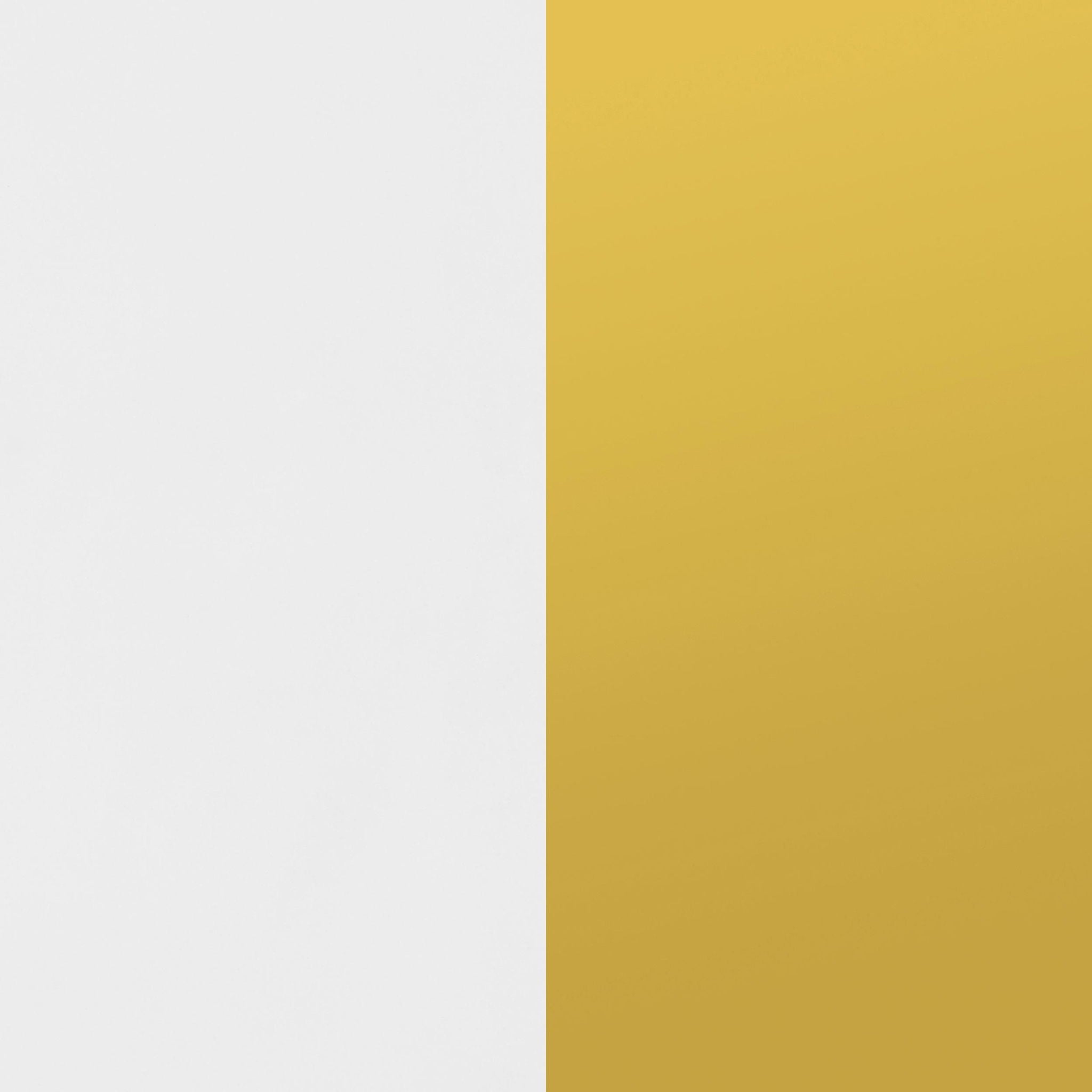 Elsa 2-door Wood Storage Accent Cabinet White and Gold