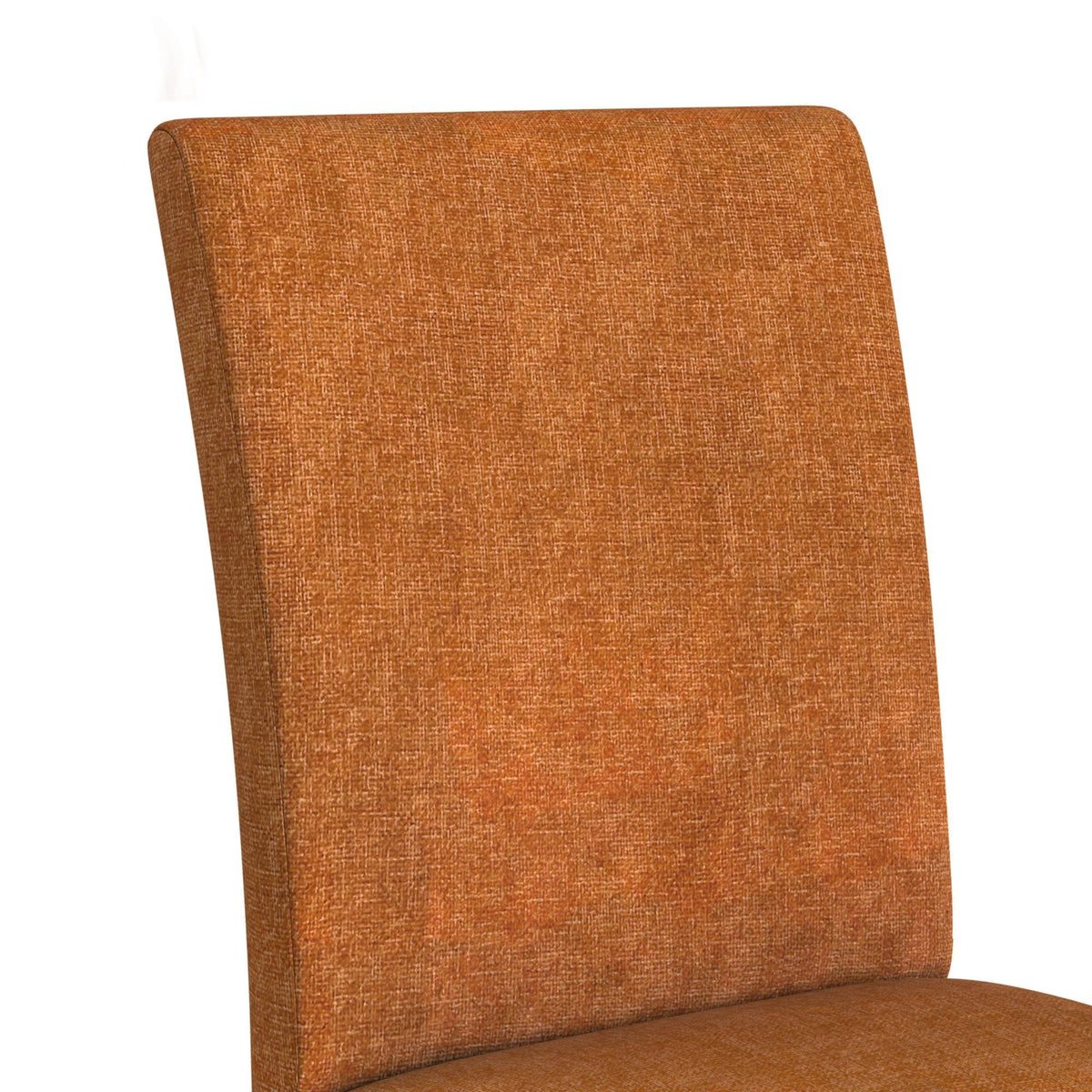 Santa Barbara Fabric Dining Side Chair (Set of 2) in Blue by Elements International, view 11
