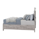 Rover - Bed