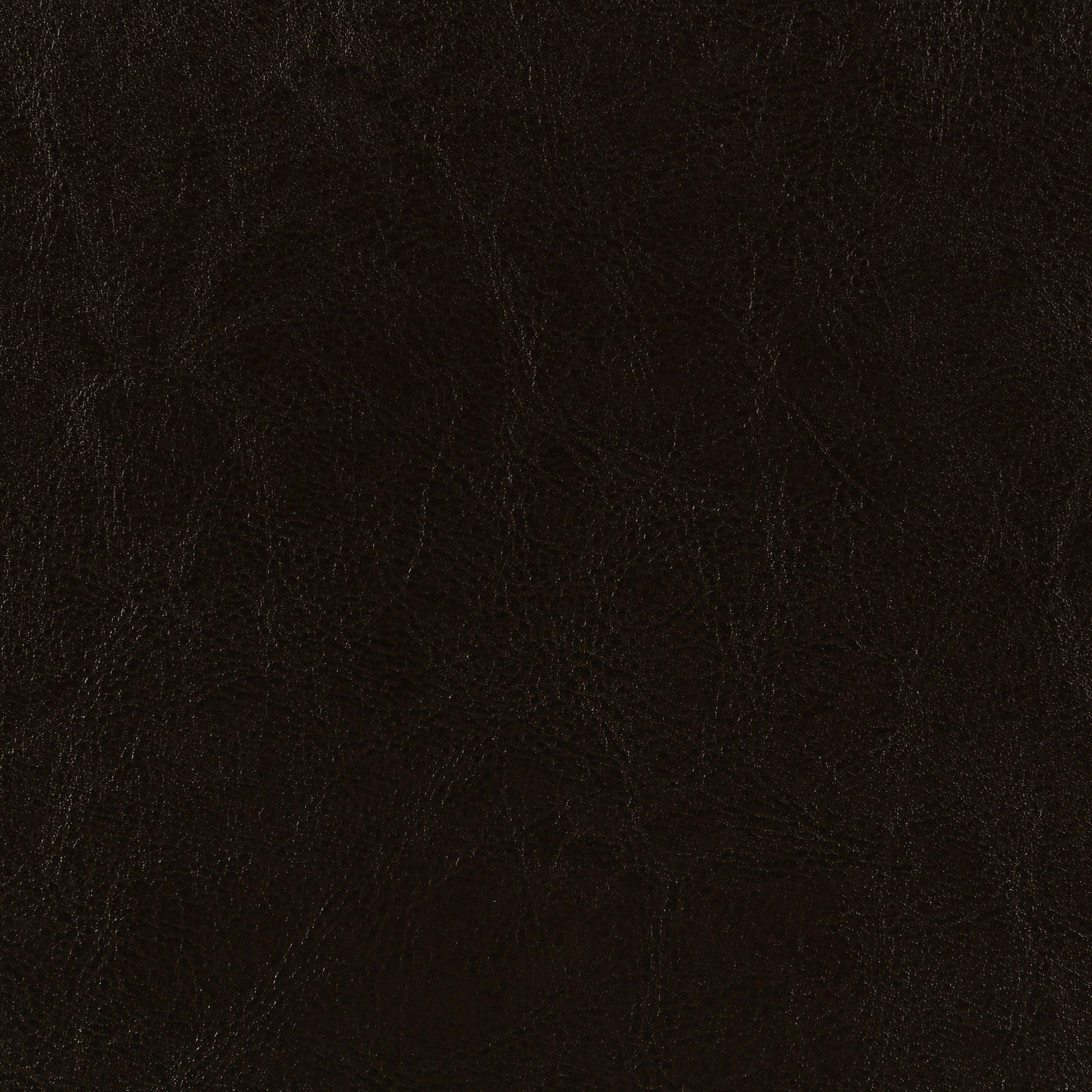 Dorian Faux Leather Upholstered Twin Panel Bed Brown — view 3