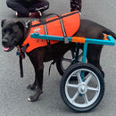 Universal 12" Spoked Plastic Wheel And Tire For Lawn Mowers & Trolley Carts, 10 Pack - Black