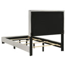 Dorian - Upholstered Panel Bed