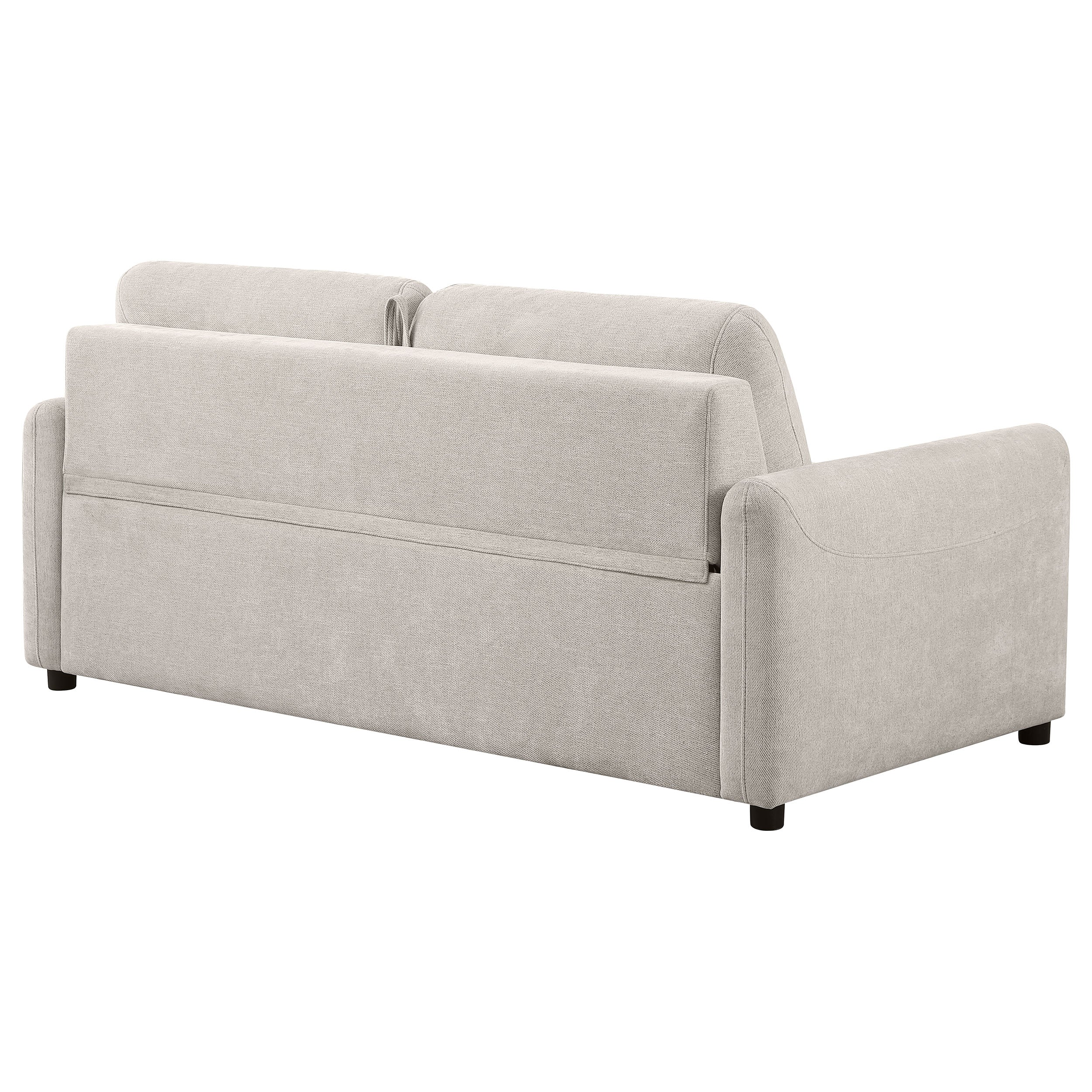 Rylie Upholstered Sofa Sleeper with Queen Mattress Beige — view 9