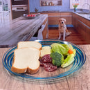 Designer Swirl Acrylic Dinner Plates (Set of 4)