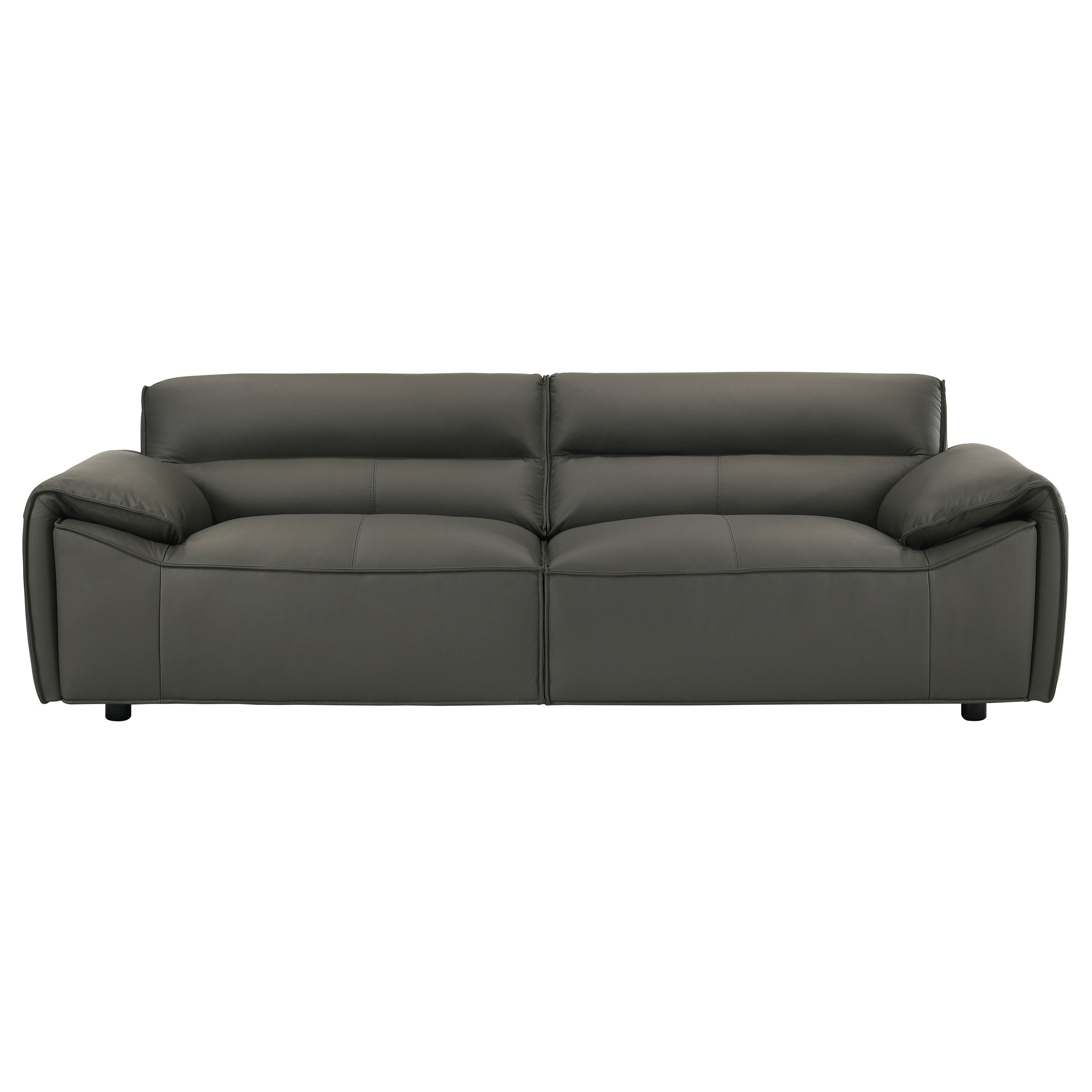 Buxton 2-piece Leather Upholstered Sofa Set Graphite — view 4