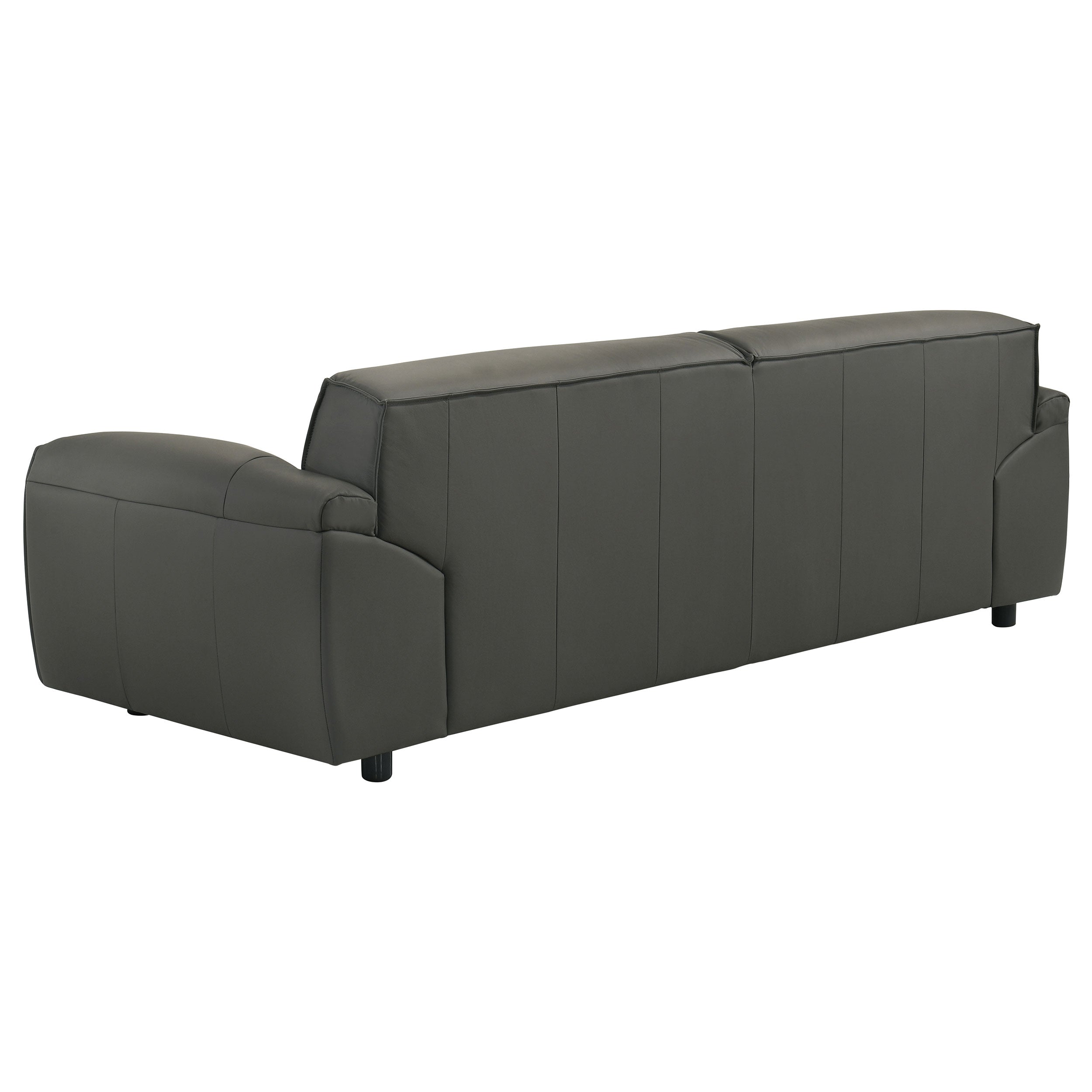 Buxton Top Grain Leather Upholstered Sofa Graphite — view 6