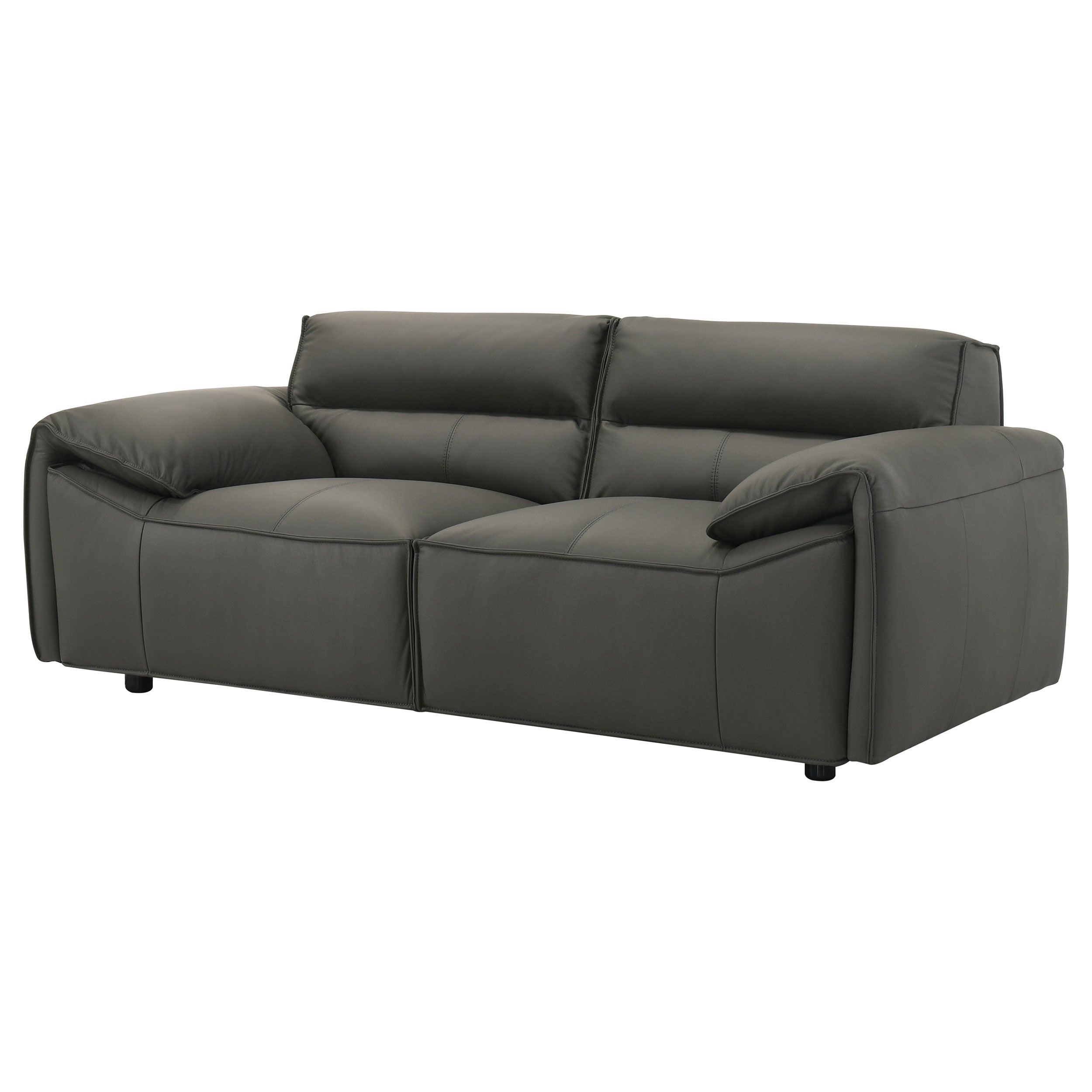 Buxton Top Grain Leather Upholstered Loveseat Graphite — view 4