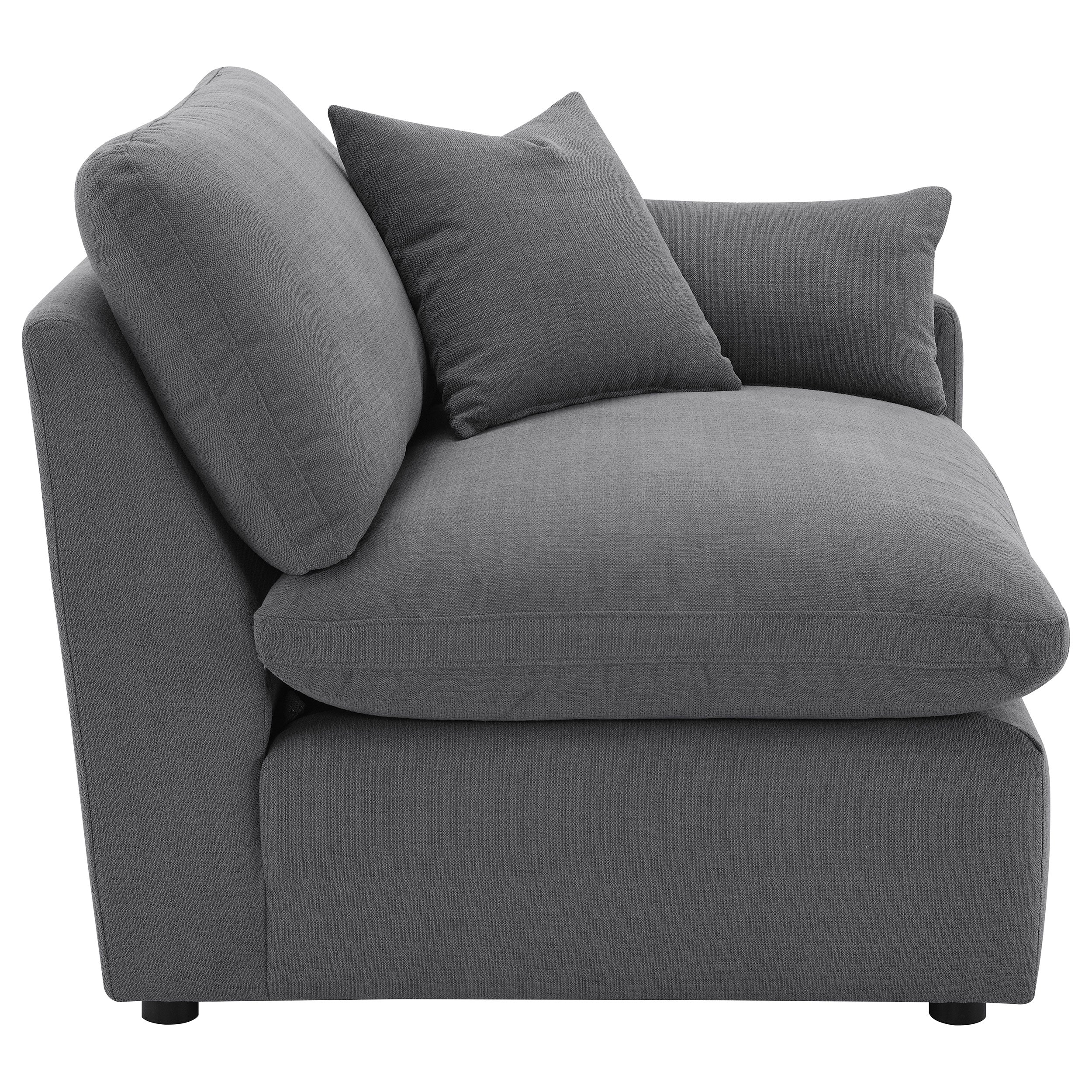 Hobson Upholstered RAF Chair Charcoal — view 8