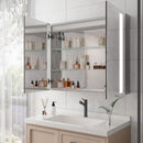 LED Medicine Cabinet With Mirror, Double Door With Defogger, Dimmer, Surface Mount