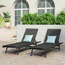 Salton - Chaise Lounge Outdoor Relaxation
