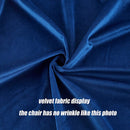 Velvet Barstool With Back (Set of 2)