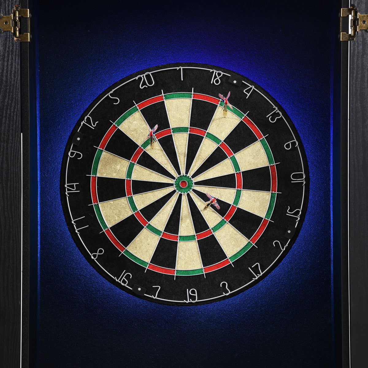 Hurricanes Dartboard Cabinet With Speaker And LED in Black by Elements International, view 8