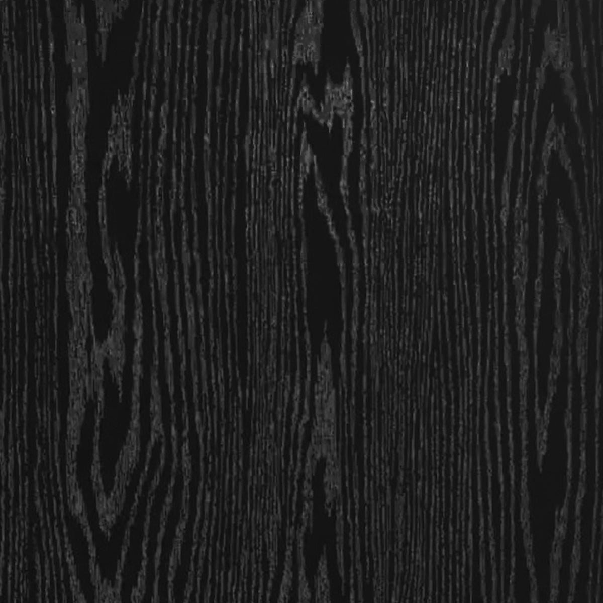 Taurus Bookcase in Black by Elements International, view 4