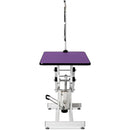 Hydraulic Pet Grooming Table
