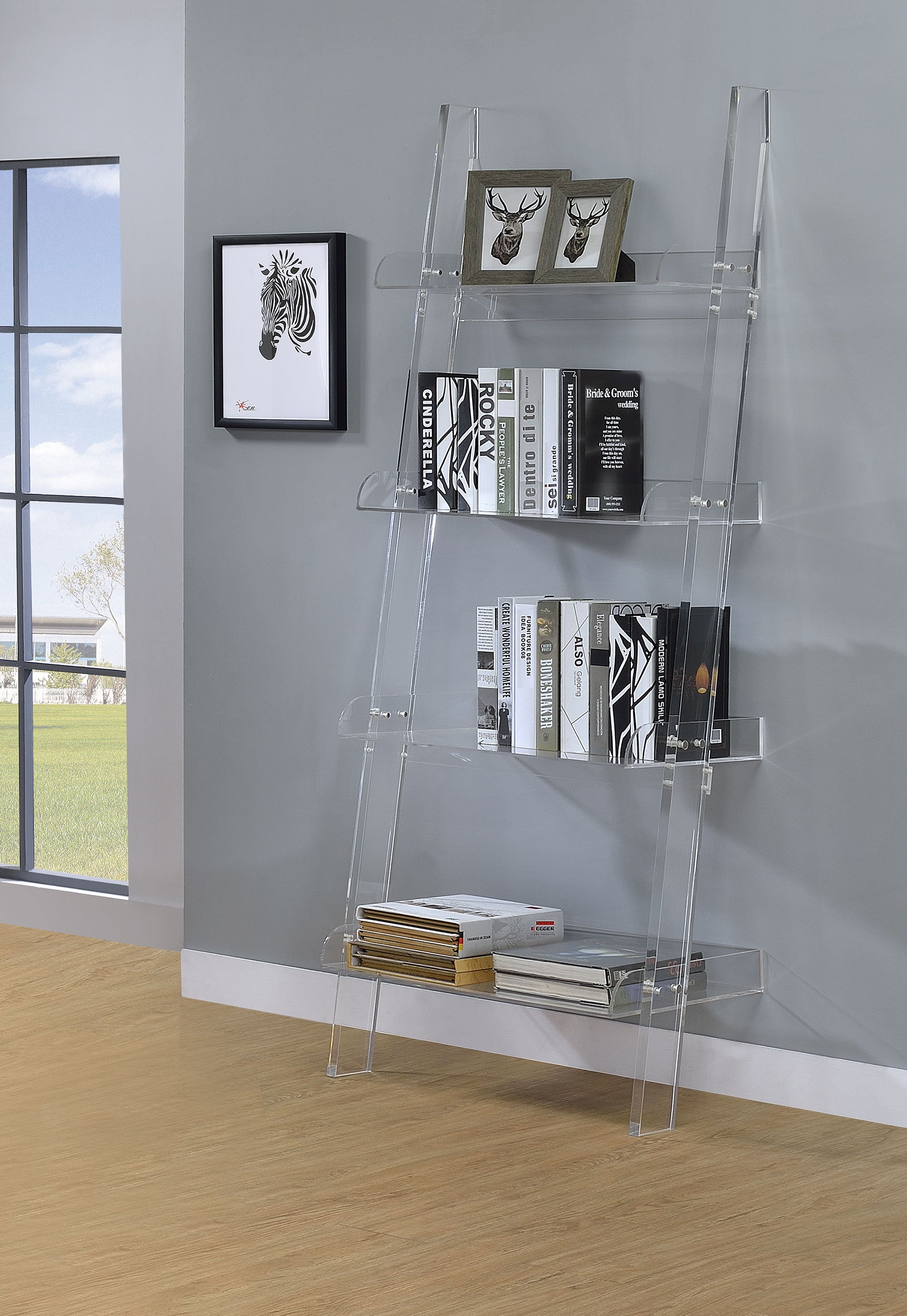 Amaturo 72-inch 4-shelf Acrylic Ladder Bookshelf Clear — view 2
