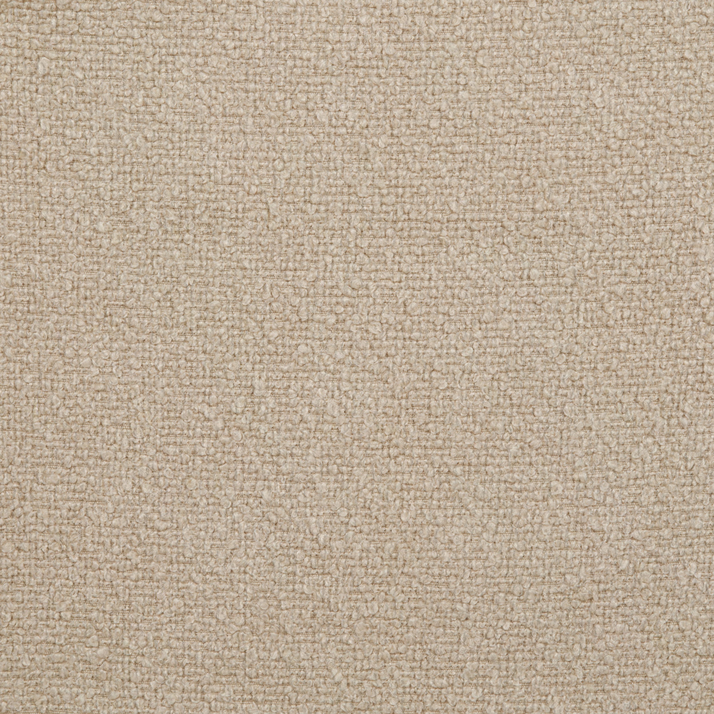 Valdez Boucle Upholstered Barrel Back Accent Chair Beige — view 10