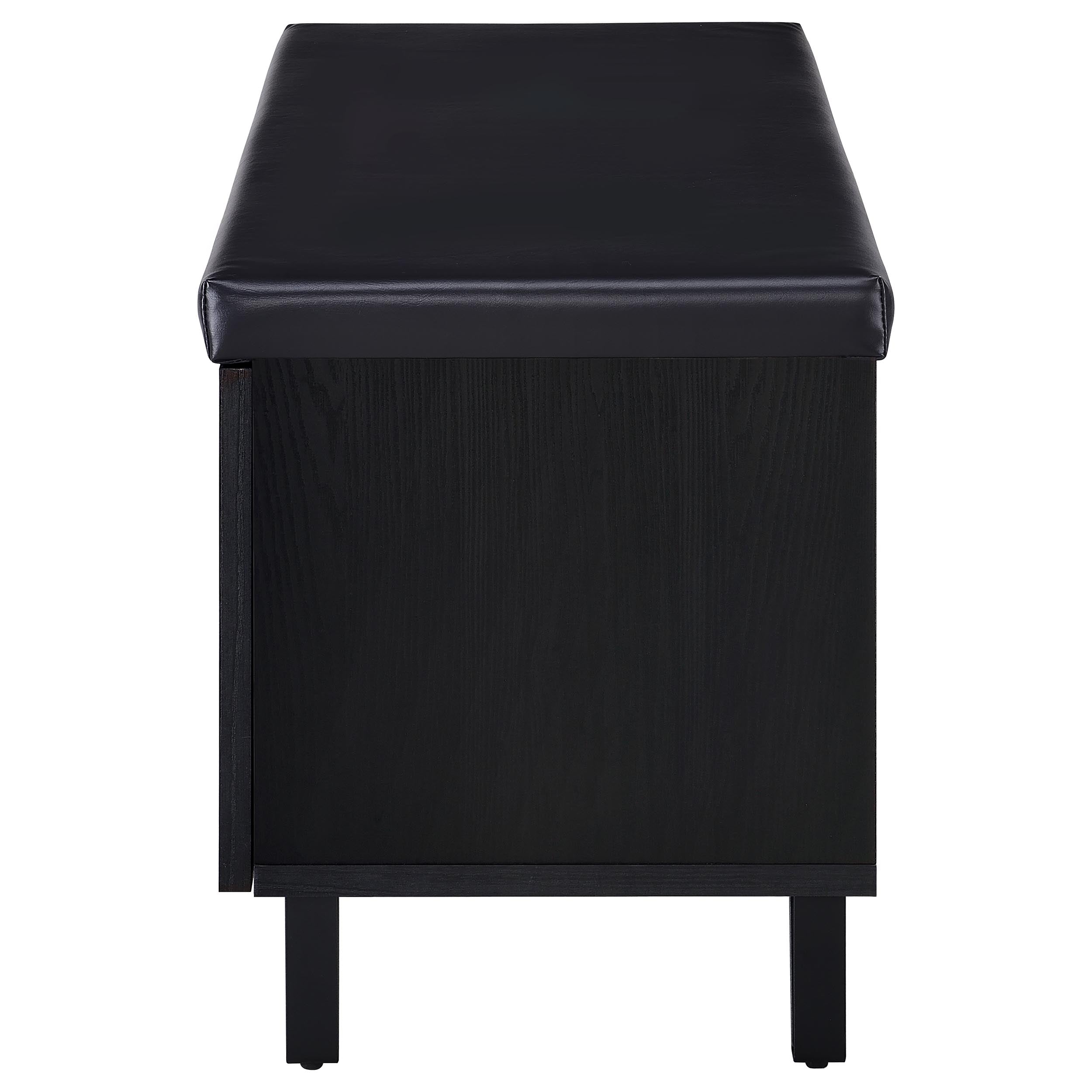 Brixton 2-door Padded Entryway Shoe Storage Bench Black — view 6