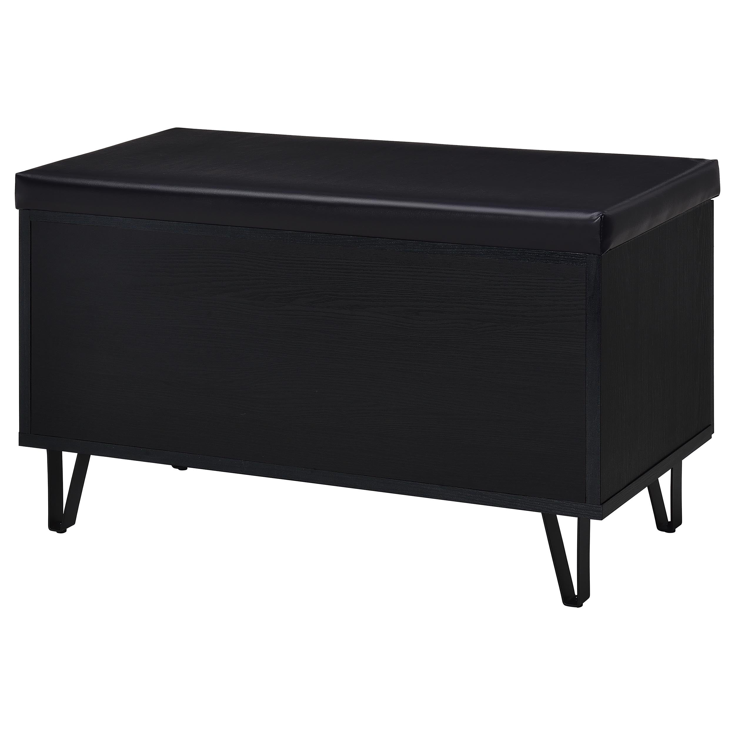 Brixton 2-door Padded Entryway Shoe Storage Bench Black — view 8