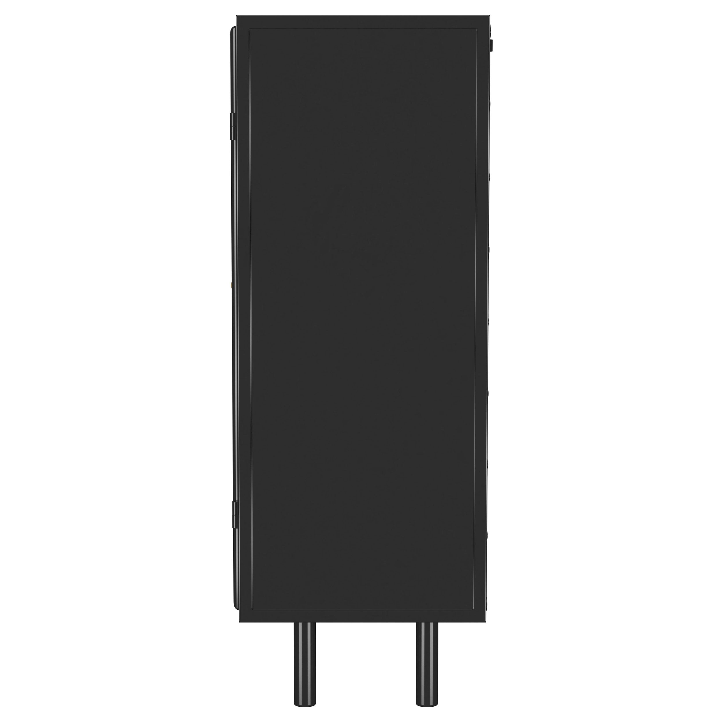 Dalia 2-door Accent Storage Cabinet with Shelving Black — view 8