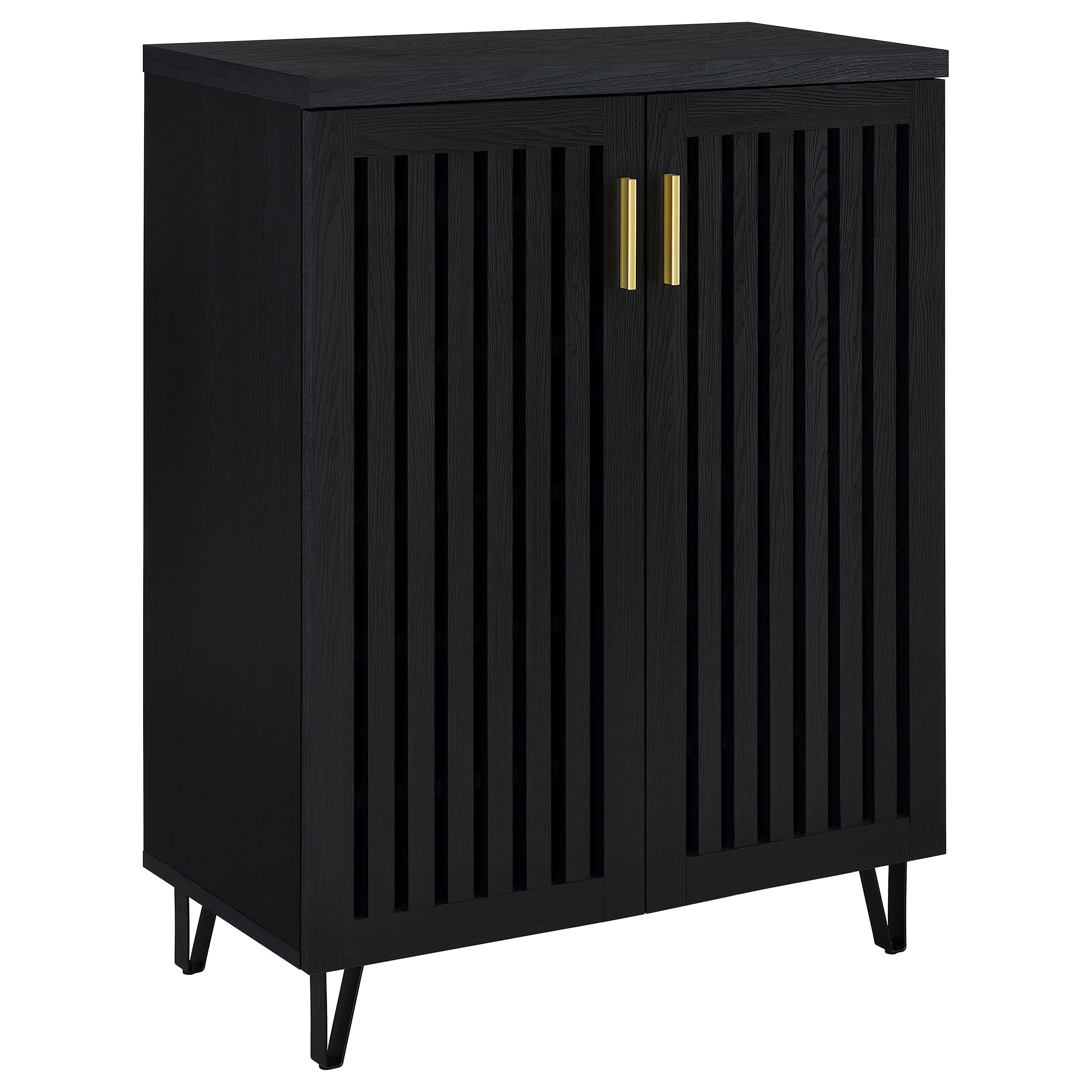 Brixton 2-door Entryway Shoe Storage Cabinets Black — view 1
