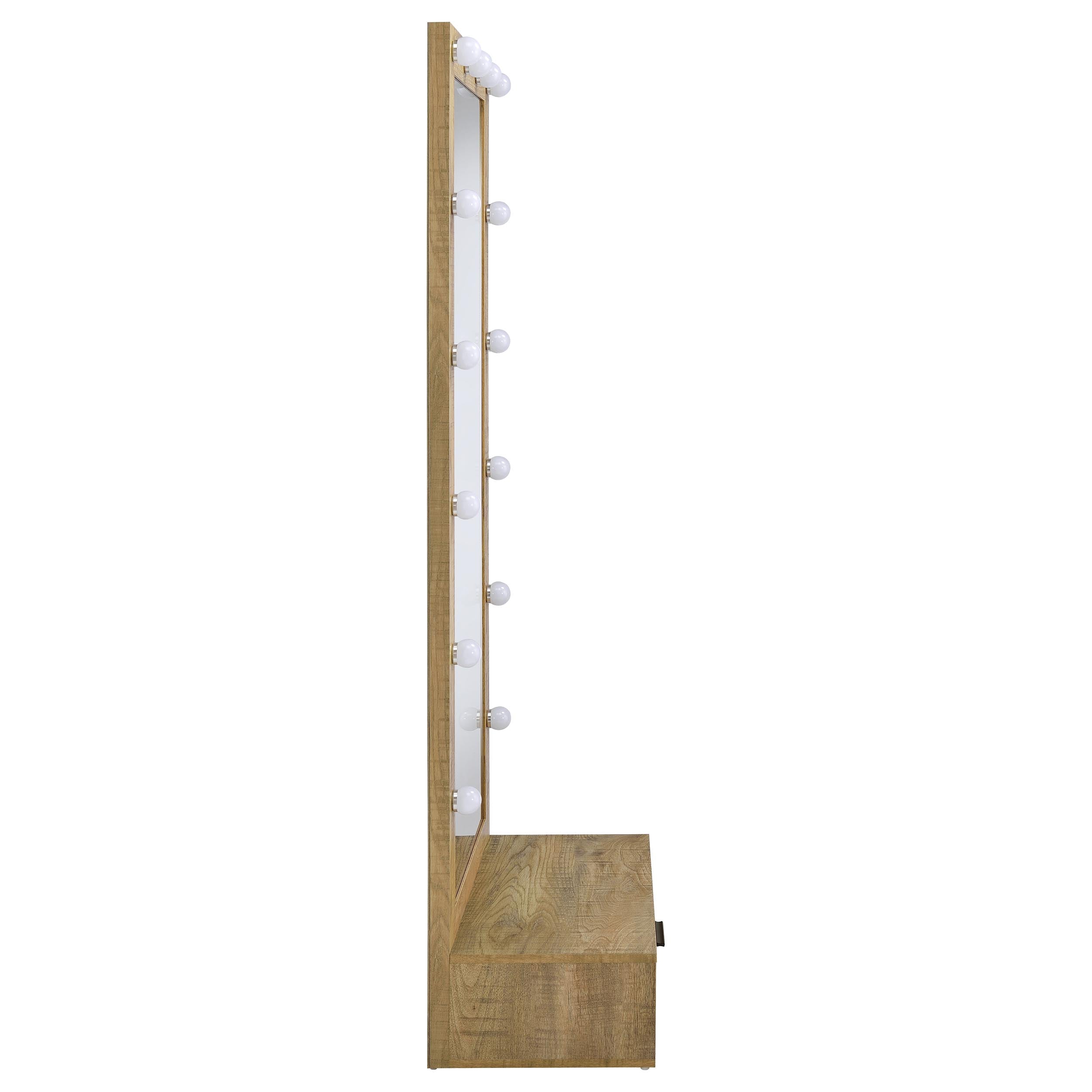 Spector 1-drawer Lighted Full-Length Floor Mirror Mango — view 12