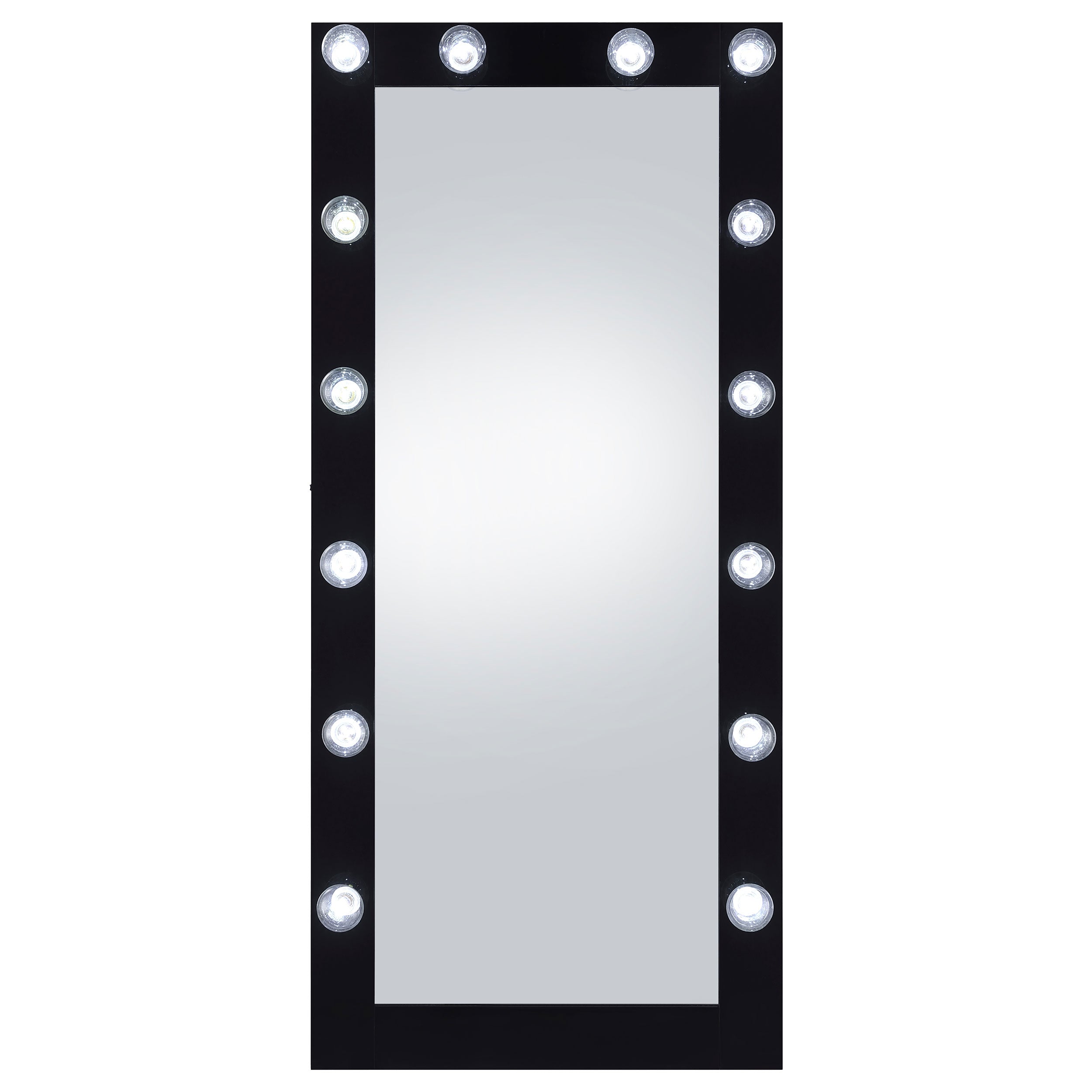 Zayan 32 x 71 Inch Floor Mirror LED Lighting Black Gloss — view 5