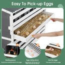 Wooden Chicken Nesting Box With 2 Egg Collection Drawers - White / Gray