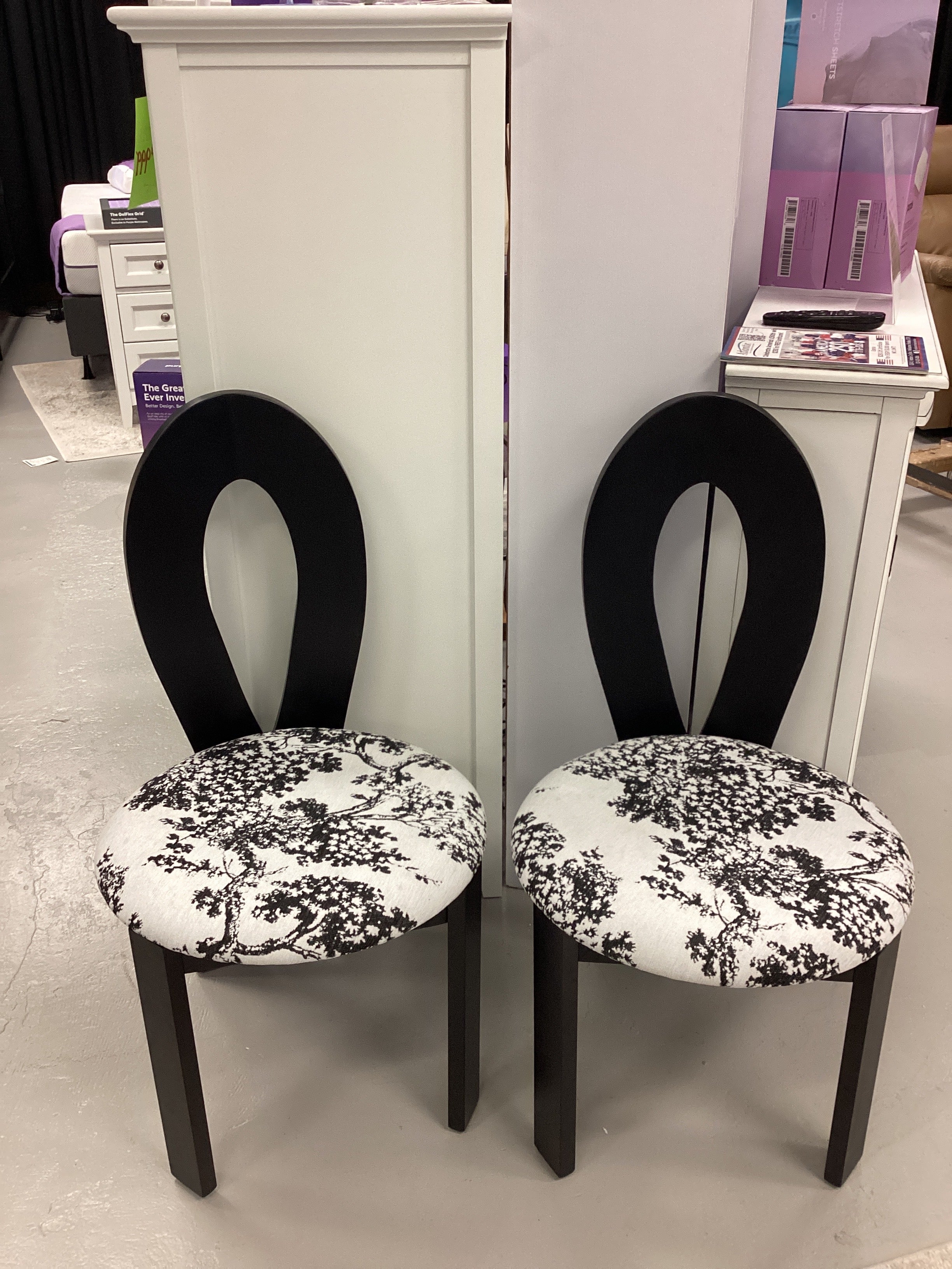 Modern Style Dining Chairs (Set of 2) SHOWROOM MODEL ONLY