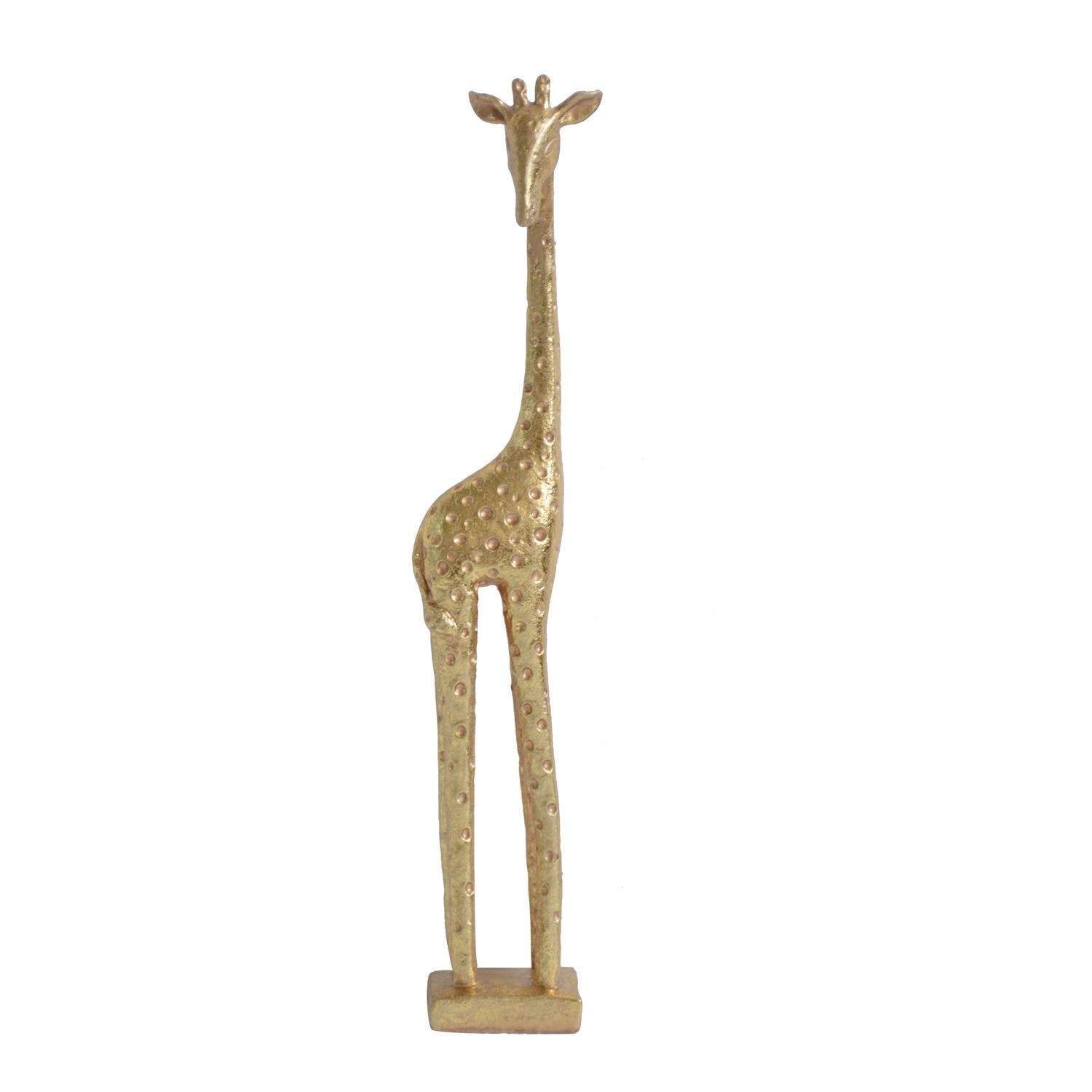 SERENGETI 2