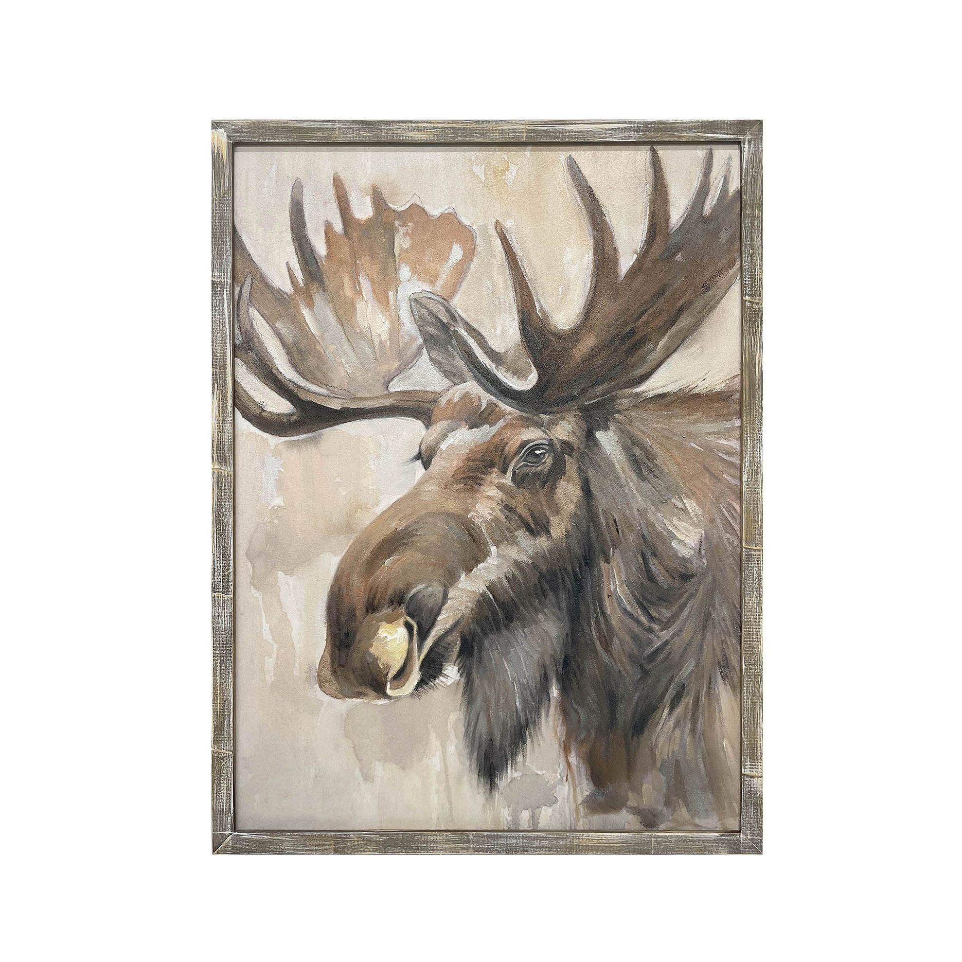 Moose Stare