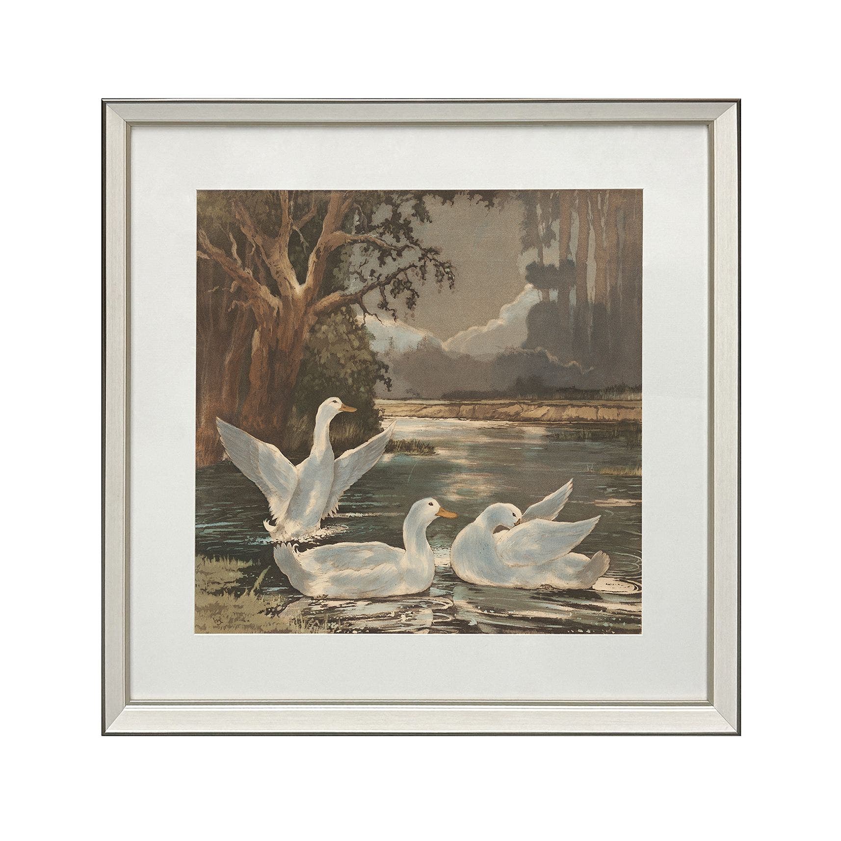 Swan Lakes