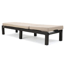 Puerta - Chaise Lounge Frame Cushion Outdoor Wicker Iron - Beige / Dark Brown
