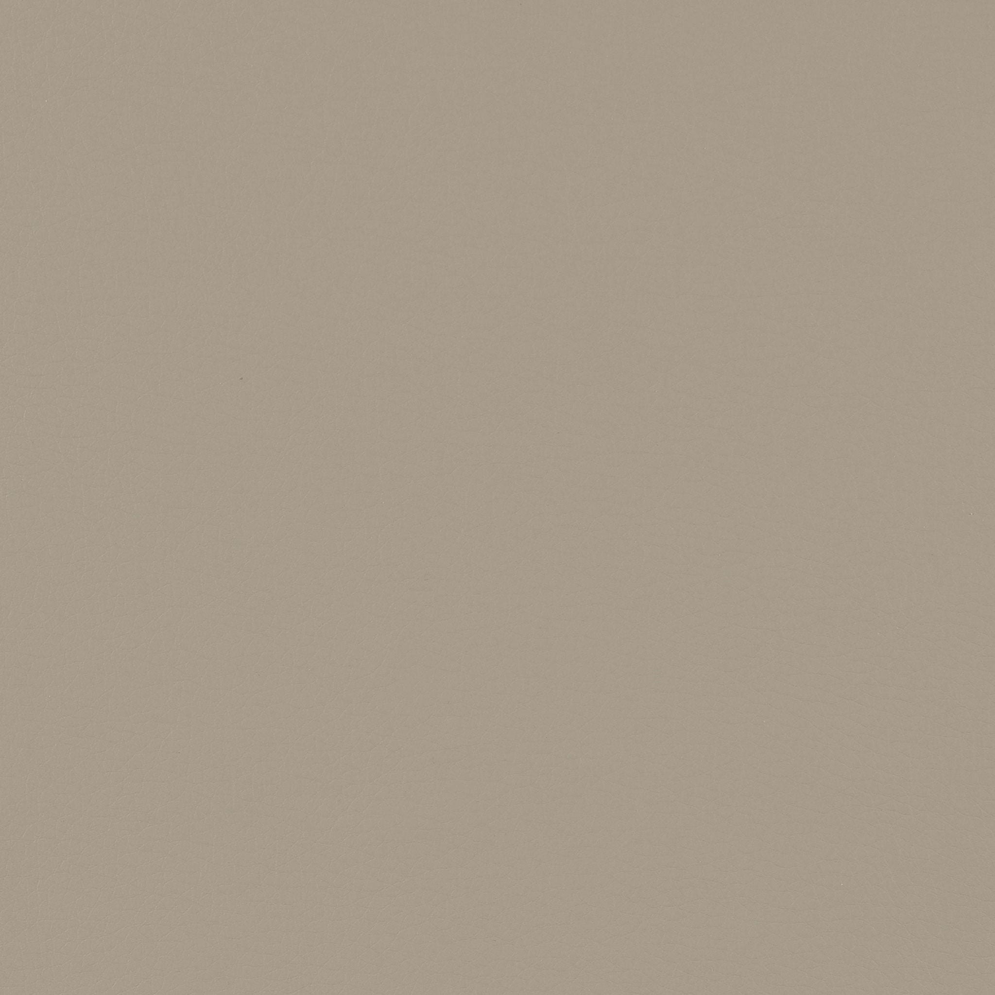 Caballo Polypropylene Dining Side Chair Tan (Set of 2) - Atlantic Fine Furniture Melbourne FL