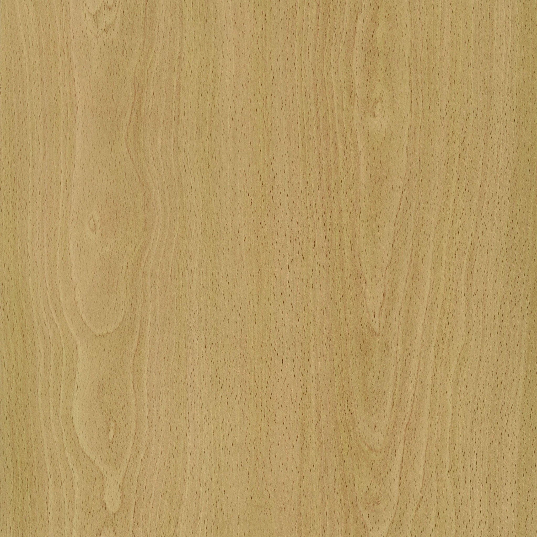 Mattison 4-Panel Room Divider Folding Shoji Screen Natural