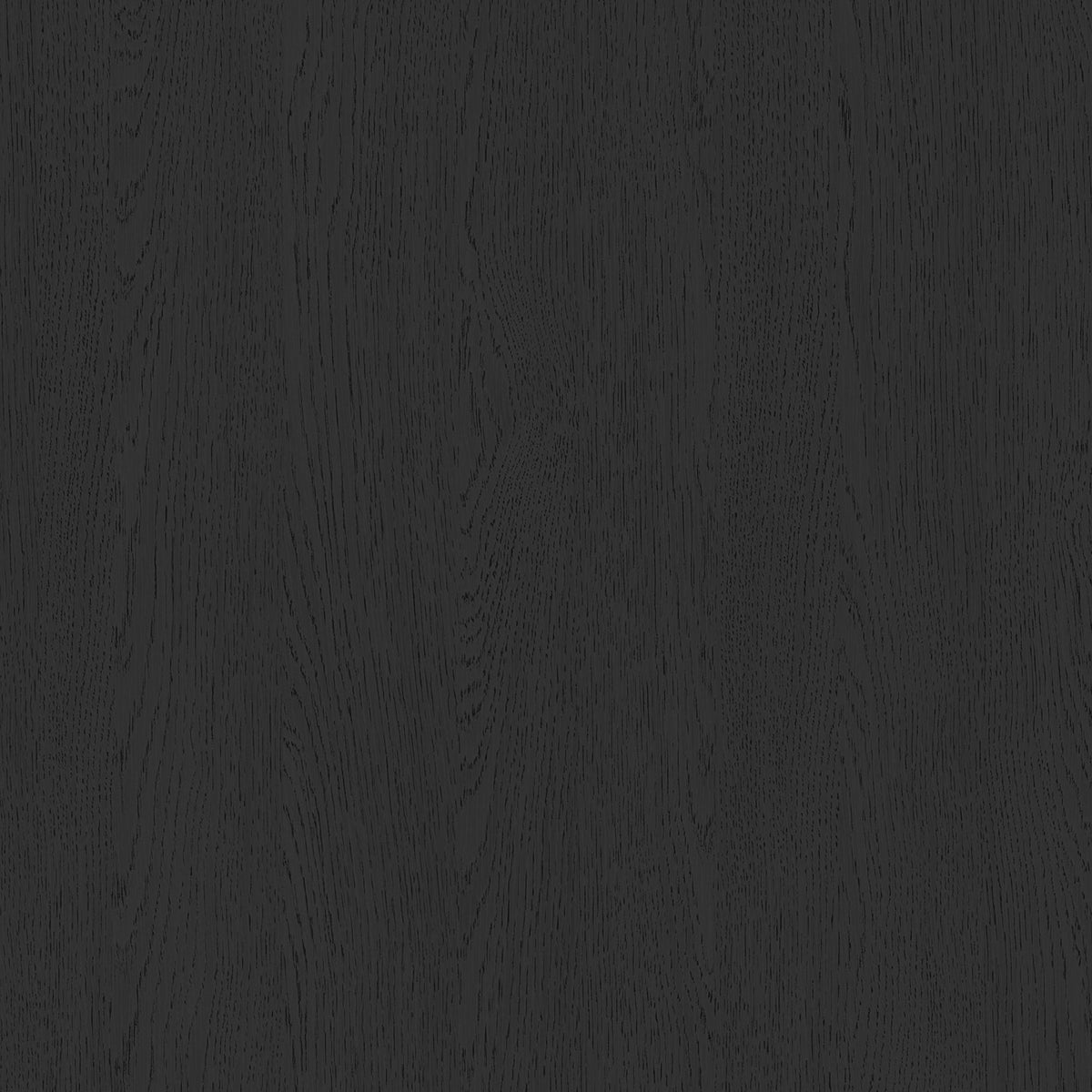 Ridgemont Loft Complete Bunk Bed in Black by Elements International, view 22