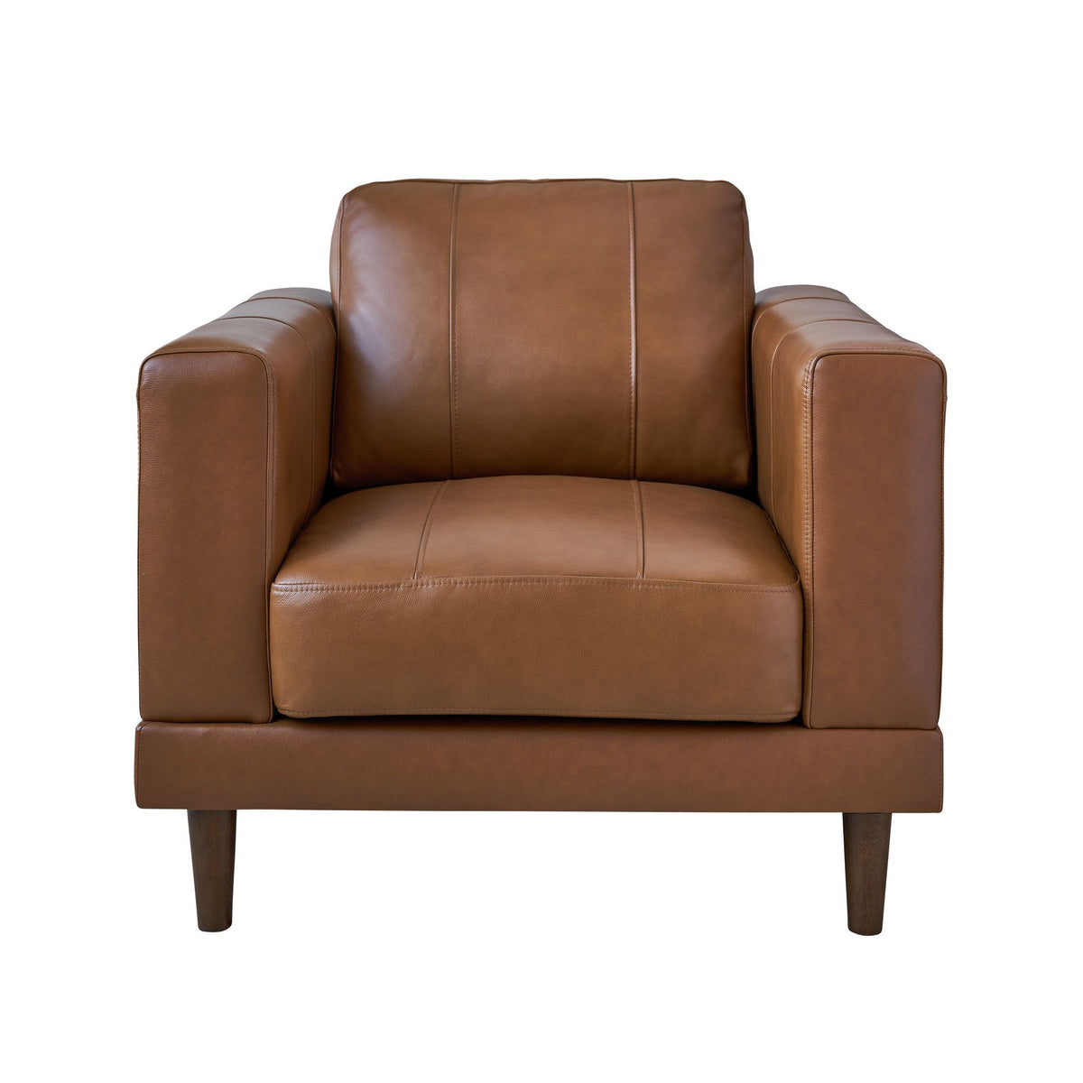 Hampton Chair in Black by Elements International, view 14