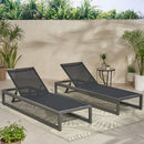 Outdoor Nylon Mesh Chaise Lounge, (Set of 2)