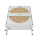 2 Door Shoe Rack, Rattan, Double Layer, Suitable For Living Room, Hallway - White