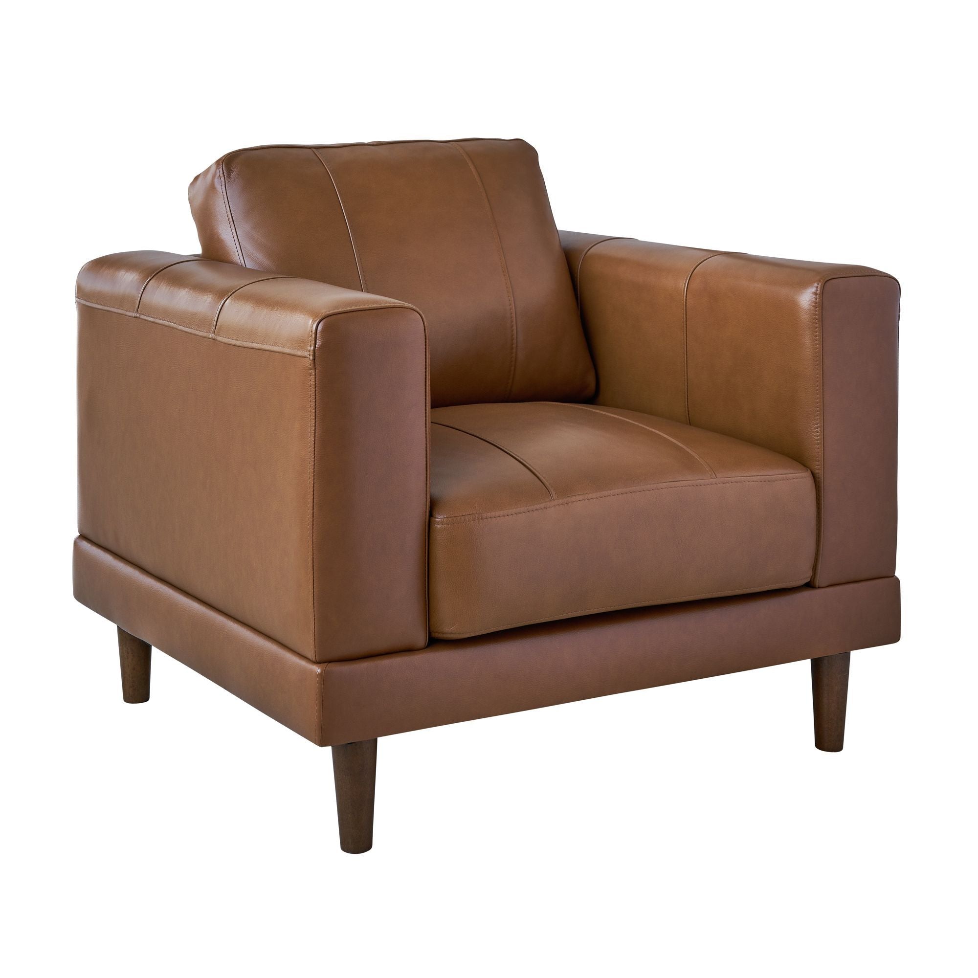 Hampton Chair in Black by Elements International, view 2