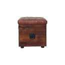 Buffalo - Leather Storage Trunk