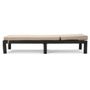 Puerta - Chaise Lounge Frame Cushion Outdoor Wicker Iron - Beige / Dark Brown
