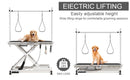 Super Deluxe Electric Pet Grooming Table, 110V / 220V Professional Groomer Recommend Adjustable Height
