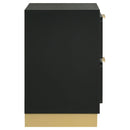 Modern Luxury Nightstand With 2 Drawer Storage