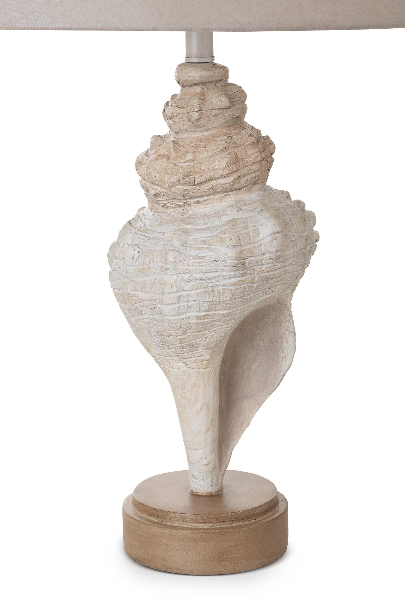 Conch